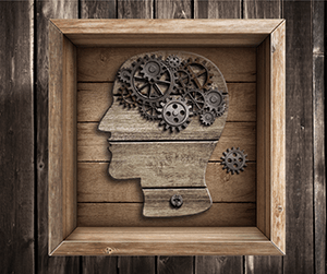 cerveau